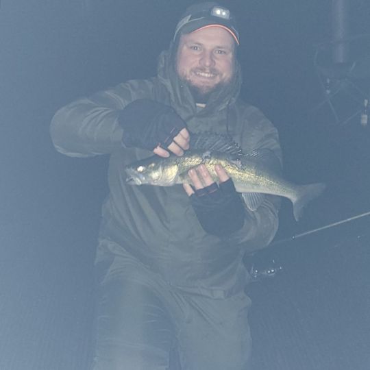 Zander