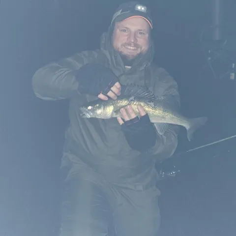 Zander