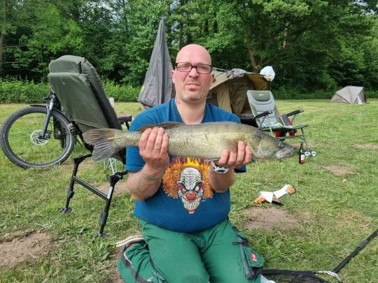 Zander