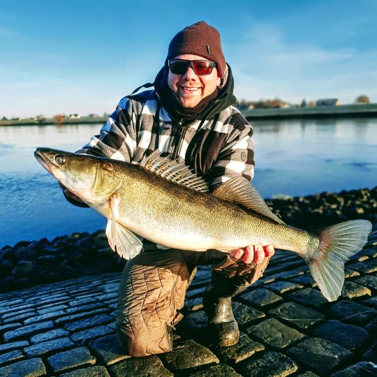 Zander