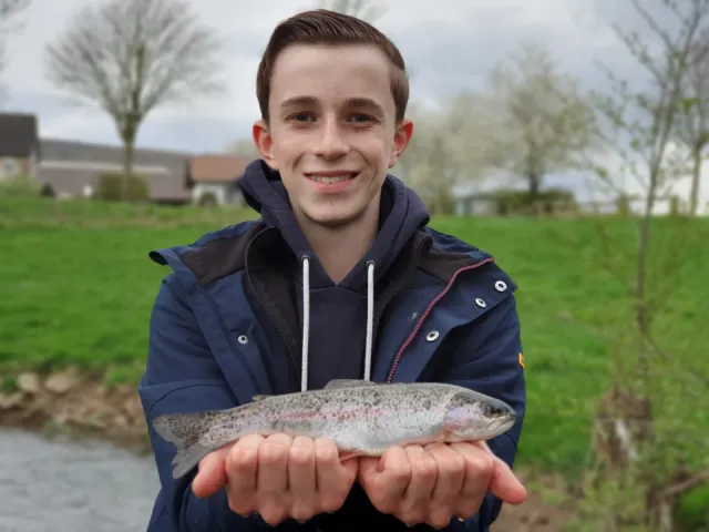 Regenbogenforelle
