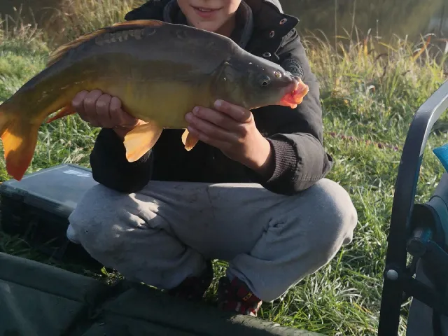 Karpfen