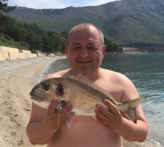 Dorade