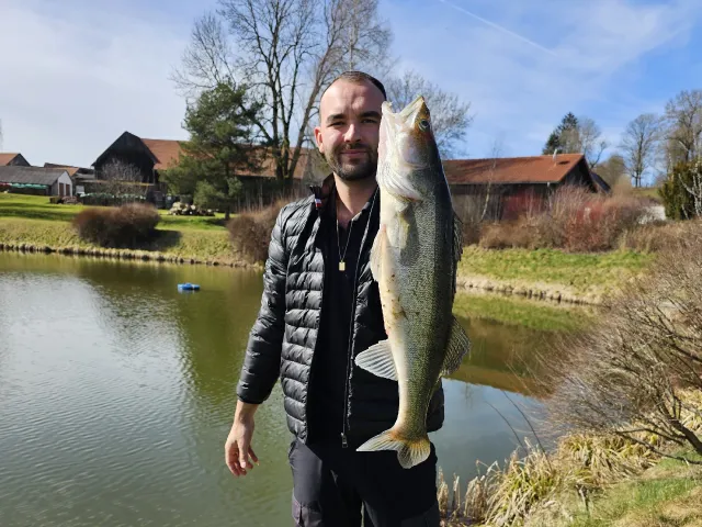 Zander