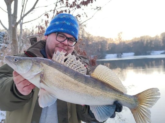 Zander