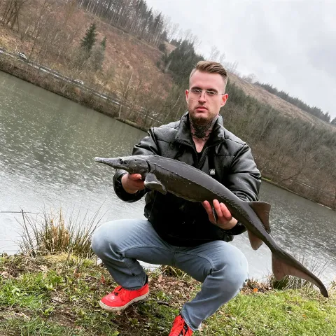Stör