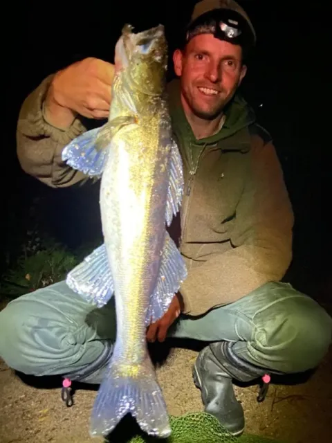 Zander