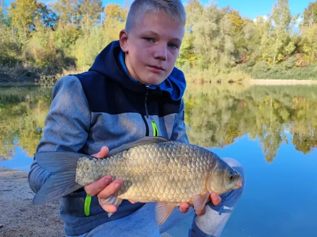 Giebel