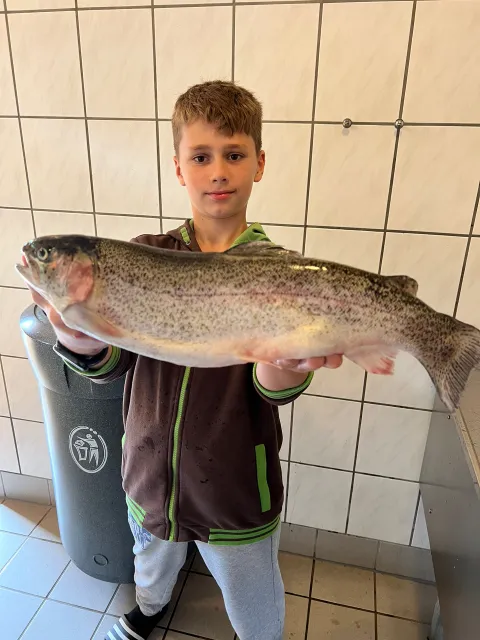 Regenbogenforelle