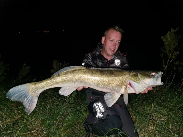 Zander