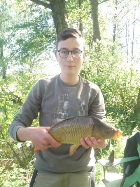 Karpfen