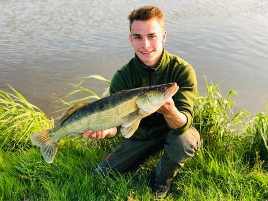 Zander
