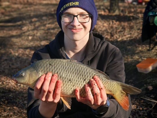 Karpfen