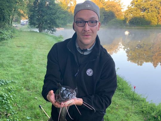 Afrikanischer Raubwels