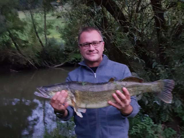 Zander