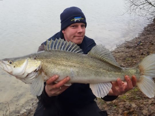 Zander