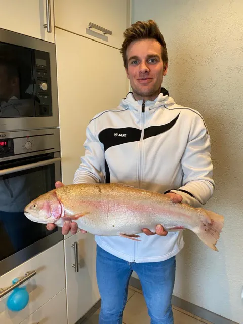 Regenbogenforelle
