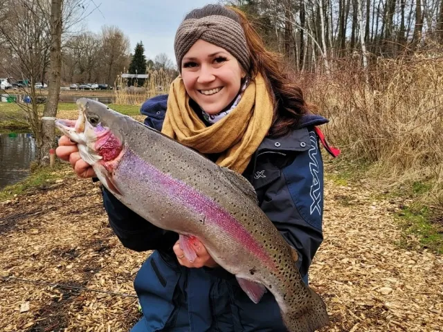 Regenbogenforelle
