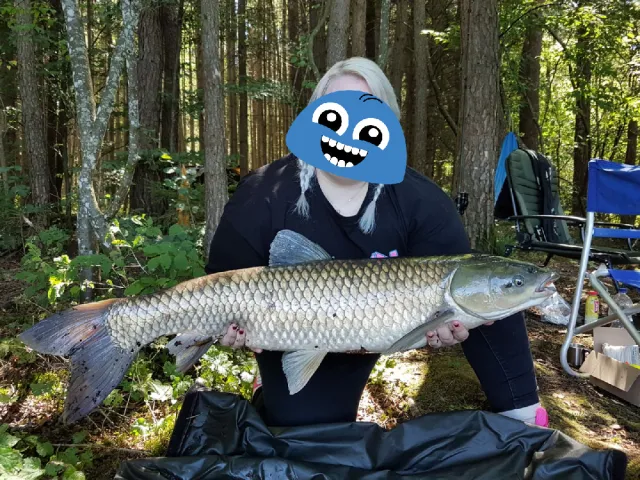 Graskarpfen