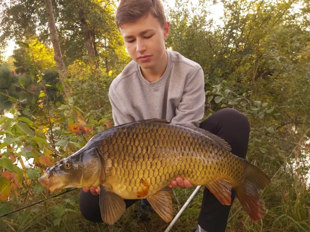 Karpfen