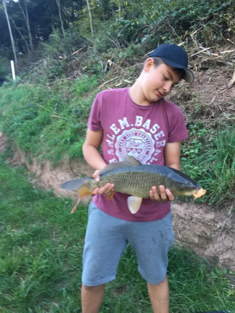 Karpfen