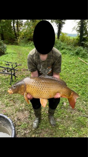 Karpfen