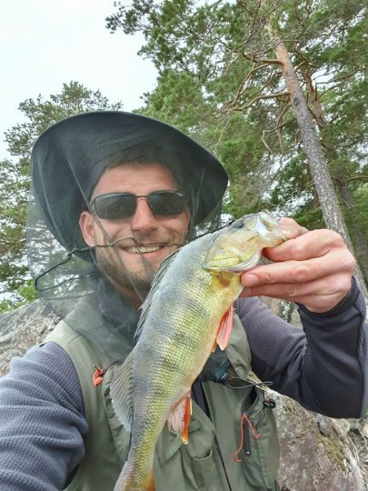 Flussbarsch