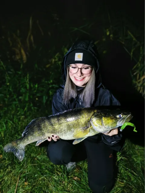 Zander