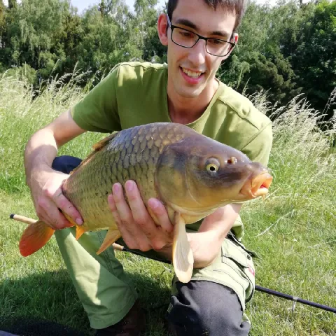 Karpfen