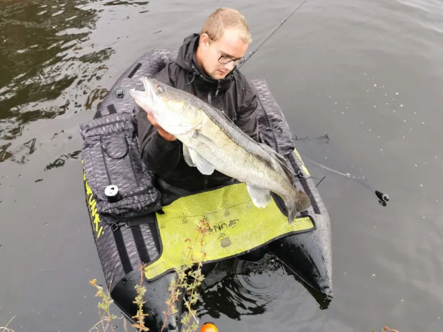Zander