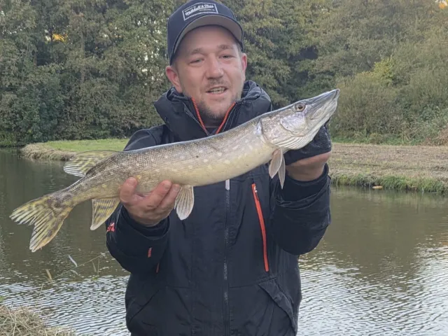 Hecht