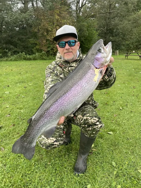 Regenbogenforelle