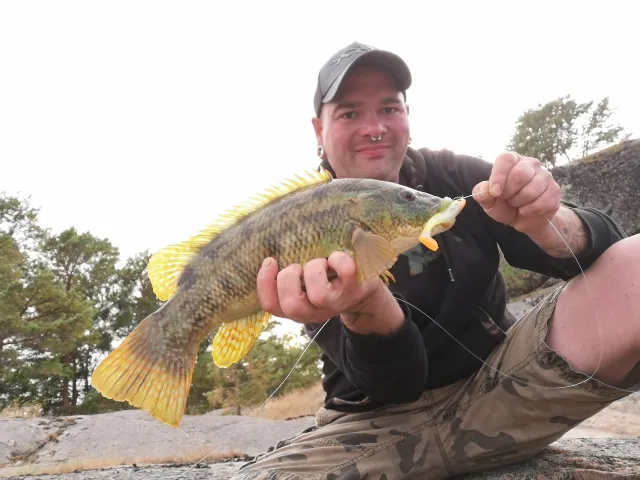 Lippfisch