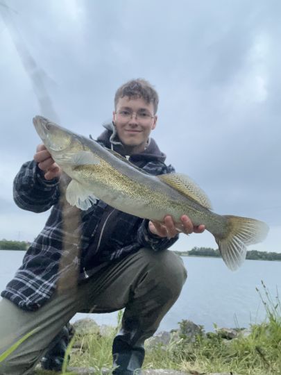 Zander
