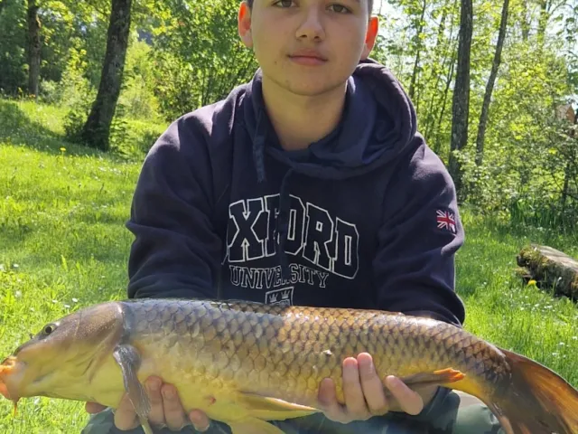 Karpfen