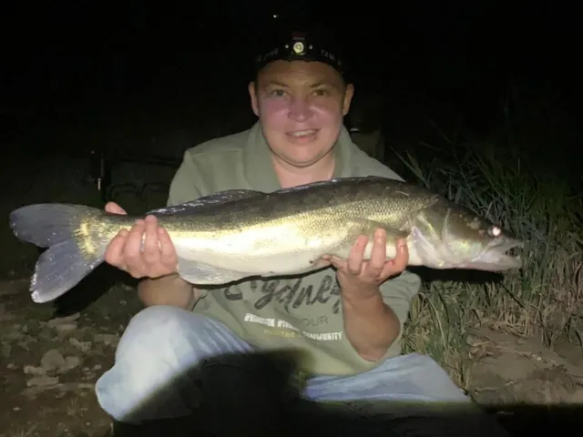 Zander