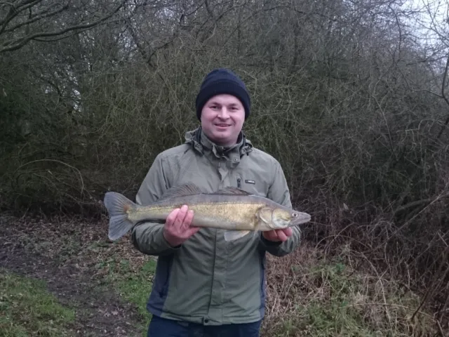 Zander