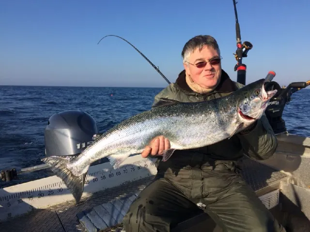 Lachs