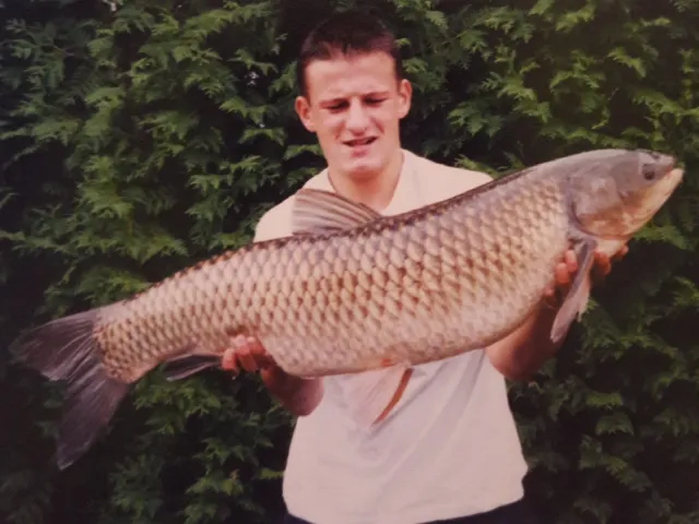 Graskarpfen