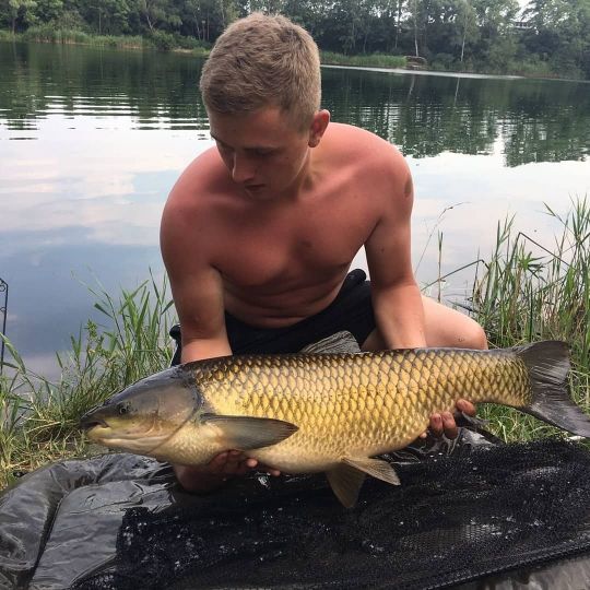 Graskarpfen