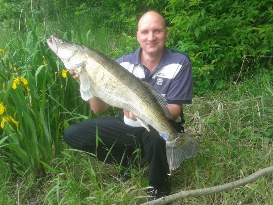 Zander