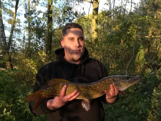 Hecht