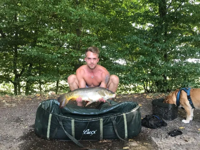 Karpfen