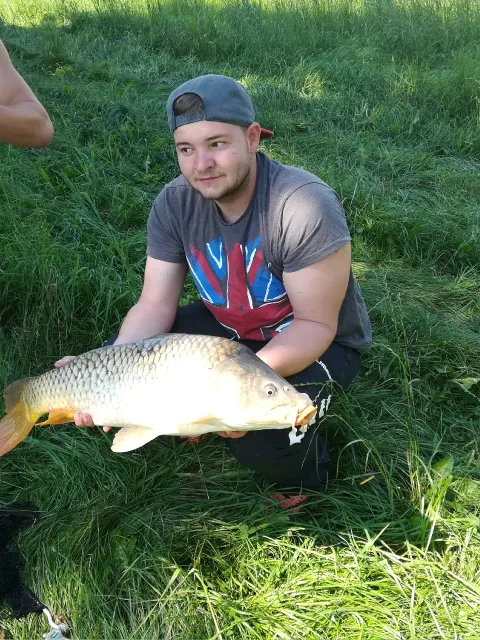 Karpfen