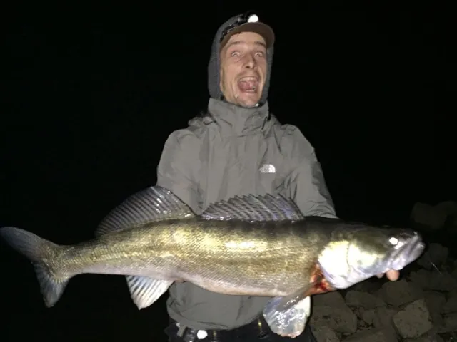 Zander