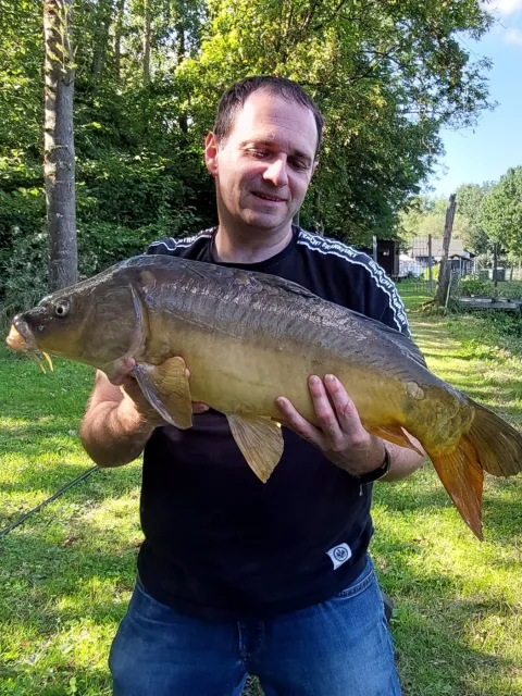 Karpfen