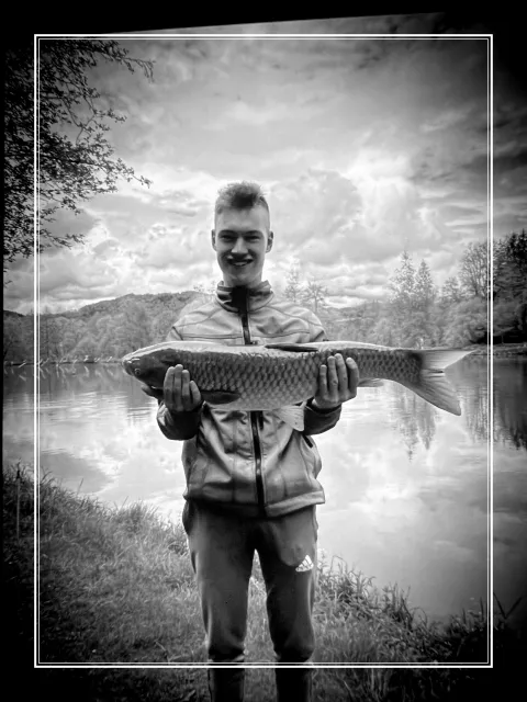 Graskarpfen