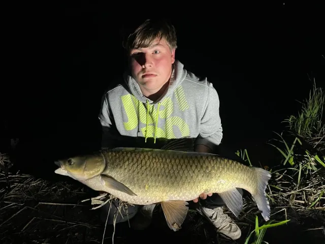 Graskarpfen