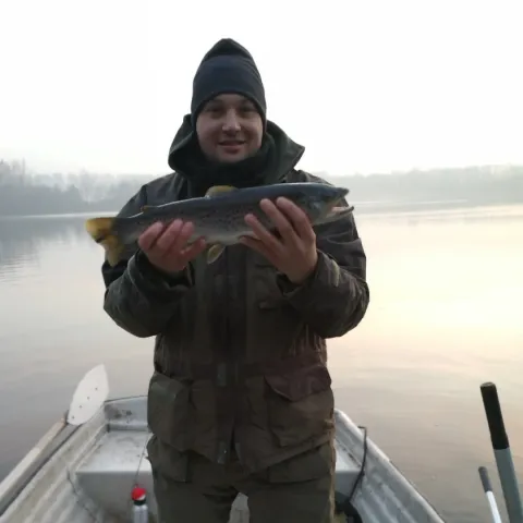 Seeforelle