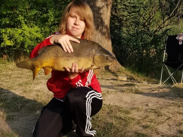 Karpfen